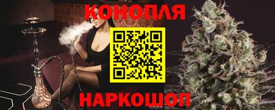 дмт Краснодар