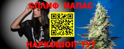 дмт Краснодар