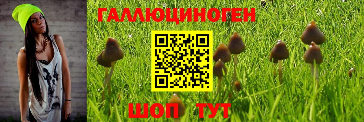 Галлюциногенные грибы ЛСД  Вход с VPN  Кандалакша 