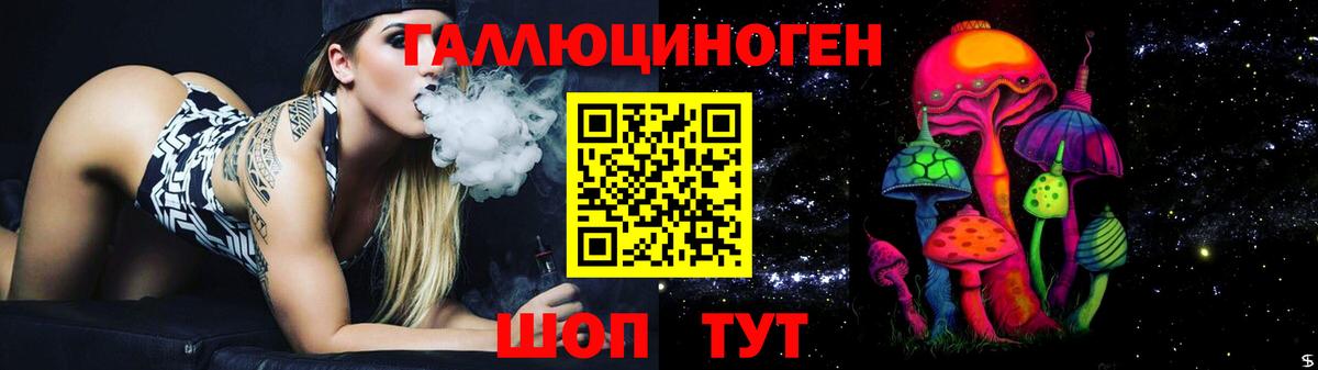 Псилоцибиновые грибы Cubensis Кандалакша